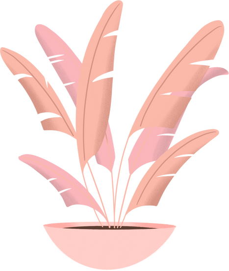 Plants in pot