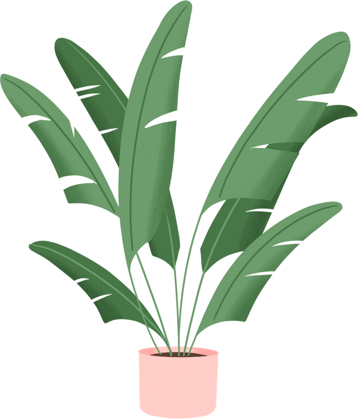 Indoor plant illustration 